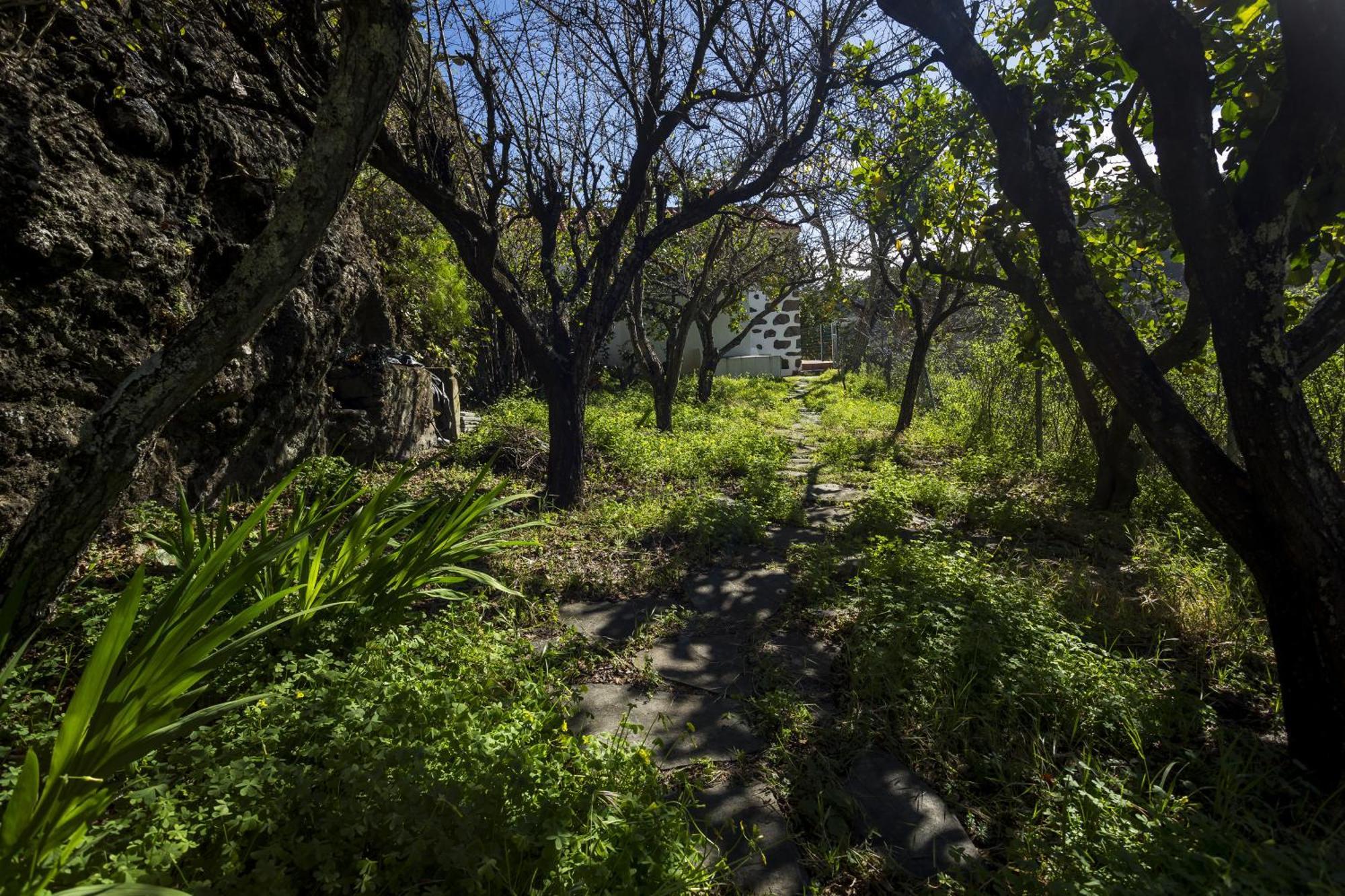 Casa Rural La Escalerilla Teror Εξωτερικό φωτογραφία